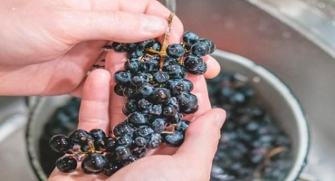 Je nutné umýt hrozny, aby se víno, pravidla a vlastnosti